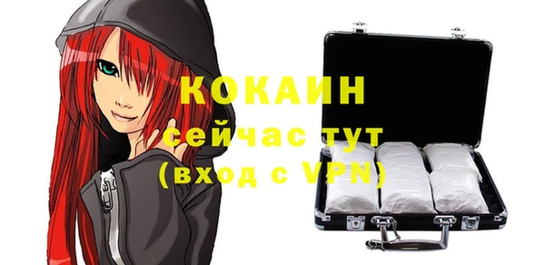 дживик Вяземский