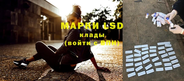 дживик Вяземский