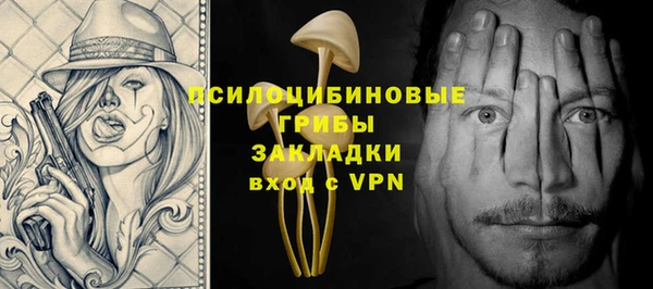 дживик Вяземский