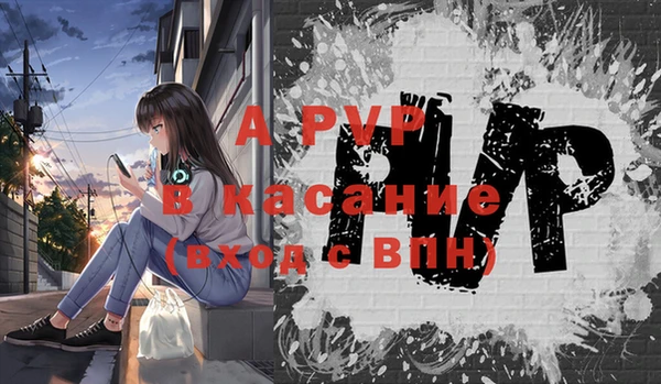 дживик Вяземский